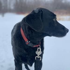 Meet your Posher, Charlie